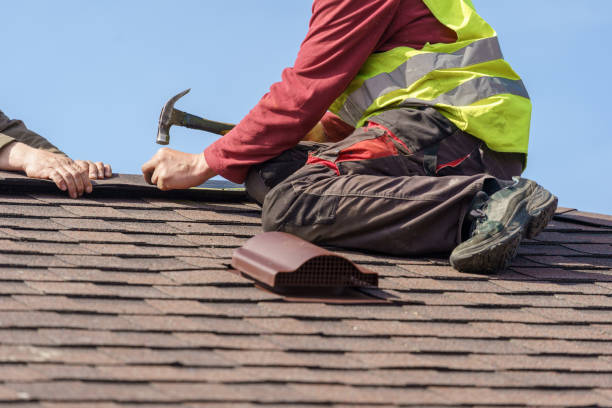 Best Best Roofing Contractors  in Ladd, IL