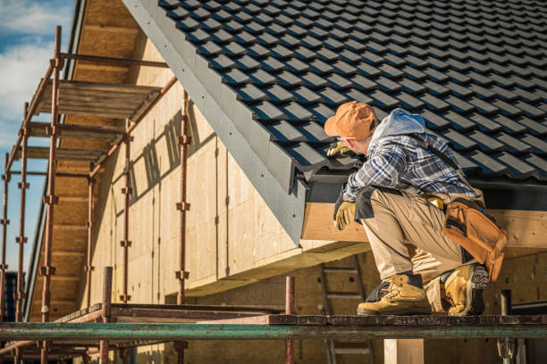 Best Roof Leak Repair  in Ladd, IL