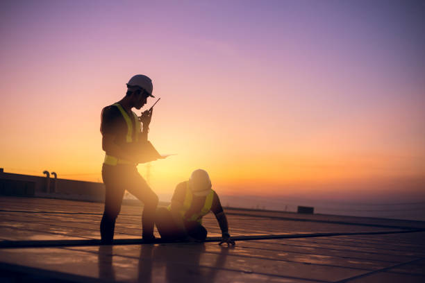 Professional Roofing Contractor in Ladd, IL