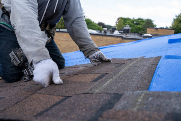 Gutter Installation and Roofing in Ladd, IL