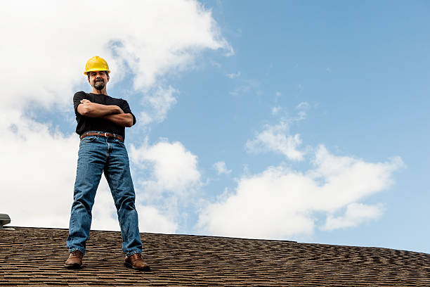 Best Commercial Roof Installation  in Ladd, IL