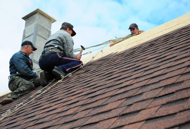 Best Local Roofing Companies  in Ladd, IL